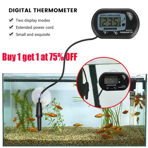Digital aquarium fish tank - fish,