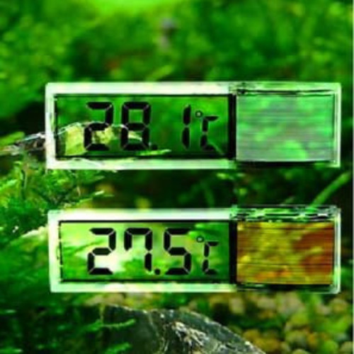 Digital water aquarium - digital,