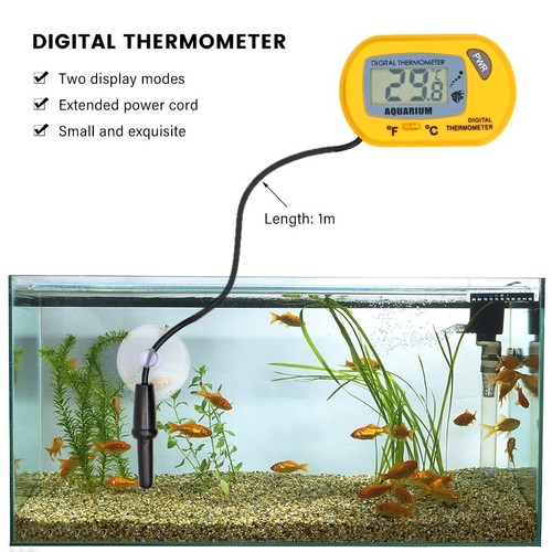 Digital aquarium fish tank - aquarium,